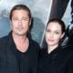 Brad Pitt processa Angelina Jolie e tenta reverter venda de vinícola do casal