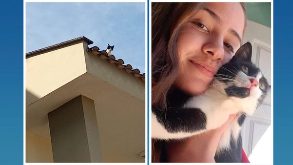 À esquerda, a gata no telhado da casa vizinha, em Fundão; à esquerda, ela junto da dona Thais Braga Sagrillo