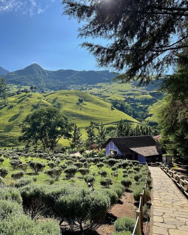 Lavandário Pedra Azul, em Domingos Martins