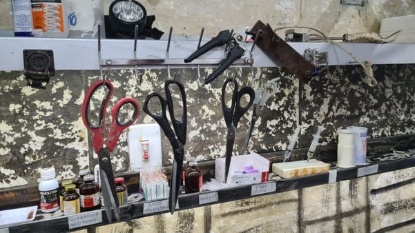 Médico veterinário é preso após denúncia de maus-tratos em Vila Velha por Divulgação/PC