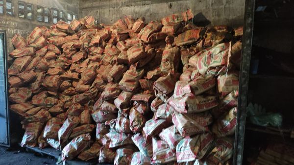 33 toneladas de carvão ilegal são apreendidos durante operação conjunta em Aracruz e Fundão por Polícia Civil