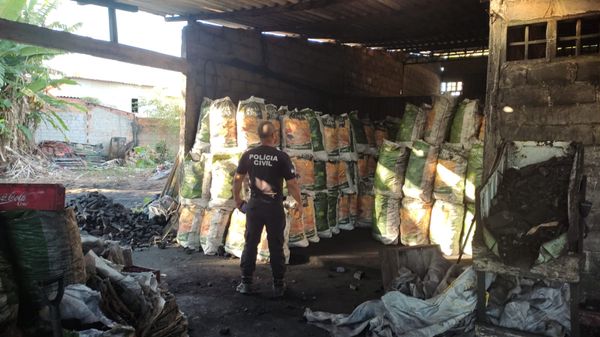 33 toneladas de carvão ilegal são apreendidos durante operação conjunta em Aracruz e Fundão por Polícia Civil