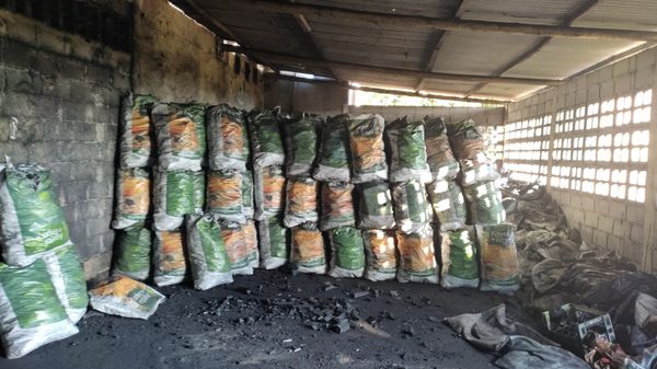 33 toneladas de carvão ilegal são apreendidos durante operação conjunta em Aracruz e Fundão por Polícia Civil