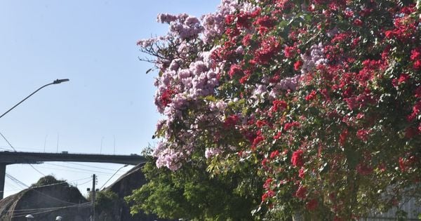 Enquanto o verão remete à leveza e à simplicidade e o outono lembra faxina, arrumação e voltar a sorrir também com o espírito, e não apenas com os dentes, a primavera tem em si a ideia de equilibrar as balanças