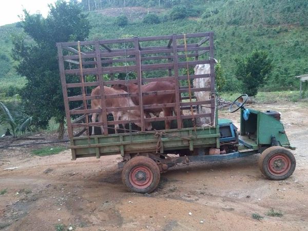 "Minicaminhão" foi montado em substituição à "tobata" que o agricultor Cézar Kuster não tinha dinheiro para comprar por Acervo pessoal