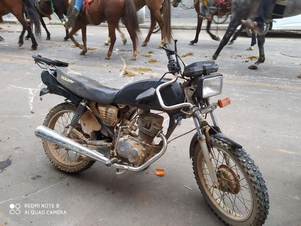 Desfile da Festa do Carro de Boi de Iúna terminou em confusão na tarde deste sábado (11), após animal se soltar. por Leitor | A Gazeta