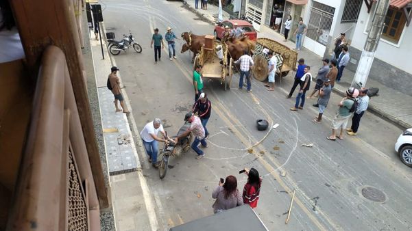 Desfile da Festa do Carro de Boi de Iúna terminou em confusão na tarde deste sábado (11), após animal se soltar. por Leitor | A Gazeta