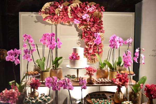 Aniversário de 15 anos de Sophia Peterli