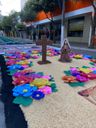 Tapetes de Corpus Christi enfeitam as ruas de Castelo, no Sul do ES(Beatriz Caliman)