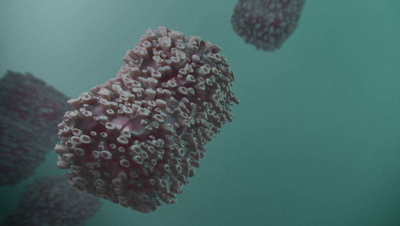 Varíola dos macacos é causada Varíola dos macacos: ES terá grupo para monitorar casos