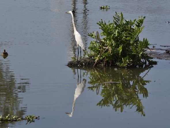 Parque Cravo e a Rosa, Itacibá, em Cariacica por Ricardo Medeiros