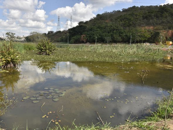 Parque Cravo e a Rosa, Itacibá, em Cariacica por Ricardo Medeiros