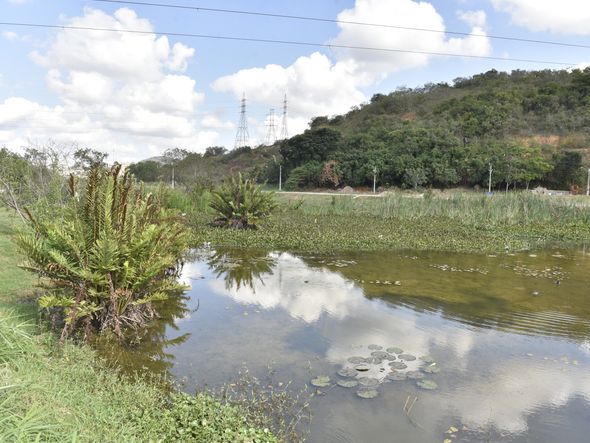 Parque Cravo e a Rosa, em Cariacica por Ricardo Medeiros