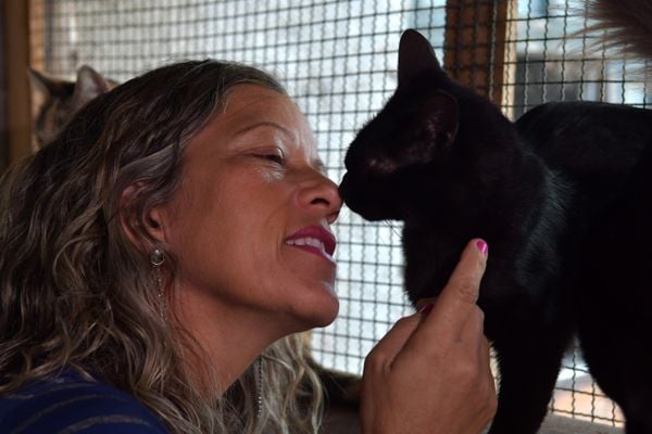 Marinete Angela de Souza, 49, cuidadora de idosos, a Angela dos Gatos