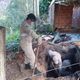 Imagem - Fotos mostram buraco onde filho queimou e enterrou corpo do pai no ES