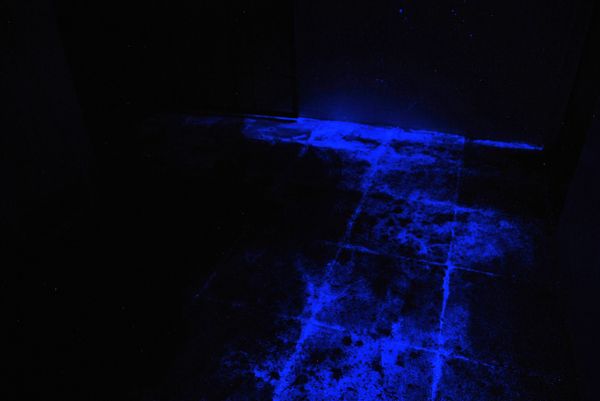 Após filho, nora de ciclista morto em Cachoeiro também é presa