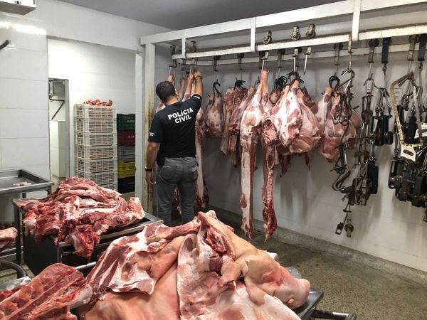 Polícia apreende 15 toneladas de carne clandestina em Vila Velha por Divulgação | Sesp