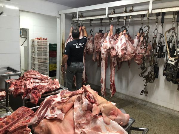 Polícia apreende 15 toneladas de carne clandestina em Vila Velha por Divulgação | Sesp