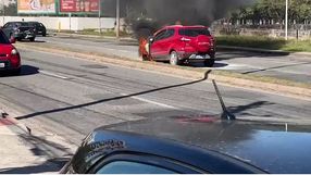 As chamas rapidamente começaram na parte do motor do Ecosport após a colisão na Avenida Norte Sul