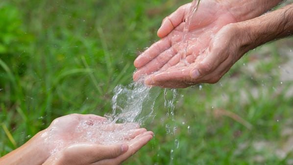 Projeto Água Limpa + Saúde, do Sicoob ES, oferece linha de crédito para tratar esgoto doméstico em áreas rurais e evitar contaminação de rios a mananciais