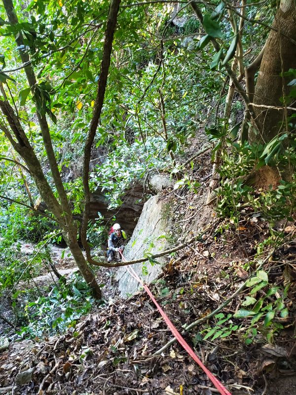Bombeiros fazem rapel para resgatar cadela presa há dias por Divulgação/ Raphael Belone