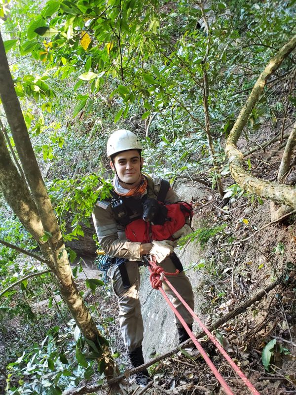 Bombeiros fazem rapel para resgatar cadela presa há dias por Divulgação/ Raphael Belone
