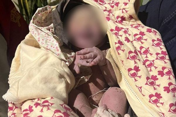 Recém-nascido com cordão umbilical é encontrado em matagal na Serra