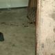 Imagem - Homem é perseguido e morto após tentar se esconder em quintal de casa em Itapuã