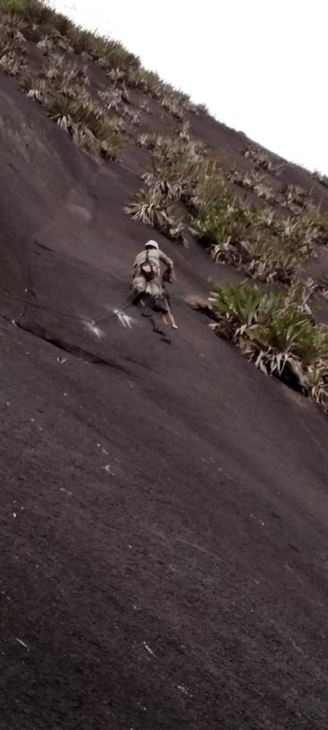 Resgate de cão mobiliza equipe com oito bombeiros em Conceição do Castelo por Divulgação/ Corpo de Bombeiros 