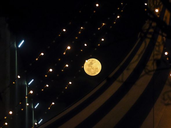 Maior superlua do ano registrada em Vitória por Vitor Jubini