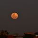Imagem - Olhe para o céu! Maior superlua do ano encanta no Espírito Santo
