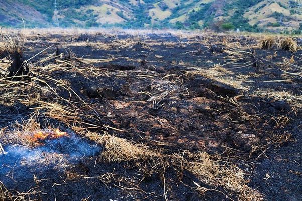 Bombeiros combatem incêndio em área de turfa na Serra