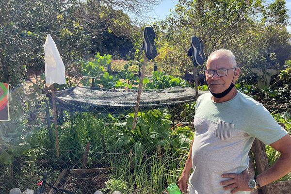 Adilson da Cunha mostra a pequena horta que possui em sua casa alugada, antes da remoção, ele plantava e vendia hortaliças para complementar a renda da família.