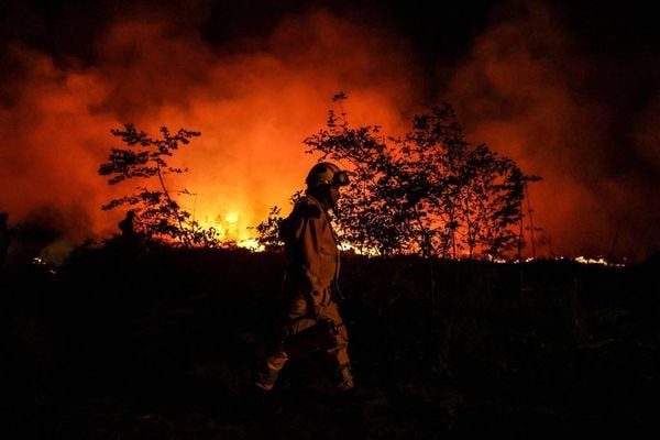 Bombeiro em meio a incêndio florestal em Louchats, no sudoeste da França.