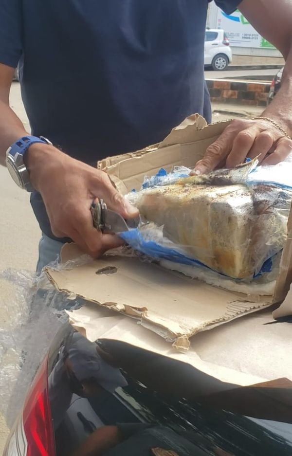 Mulheres são presas após receberem maconha pelos Correios, no ES por Divulgação | Polícia Federal