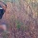 Imagem - Mulher é encontrada morta ao lado de carro em estrada de Vila Velha