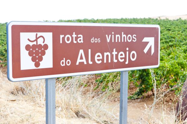 Vinhos do Alentejo, em Portugal