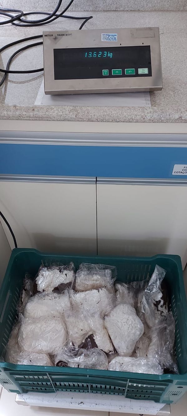 Presa em Aeroporto de Vitória tentando levar droga para Moçambique por Divulgação | Polícia Federal