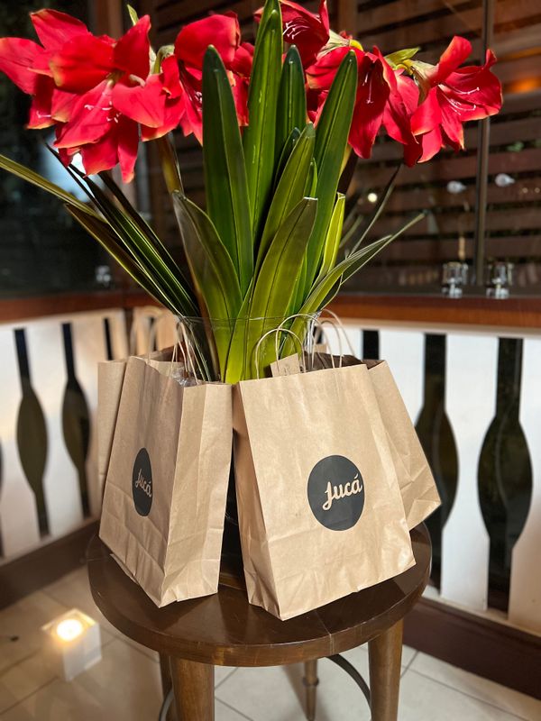 Aniversário de Marina Giuberti