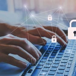 Ao todo, 43 municípios foram submetidos à avaliação e foram reconhecidos, em diferentes categorias, pela boa gestão das informações públicas