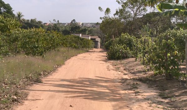 Estrada dentro de propriedade rural onde vítima trabalhava