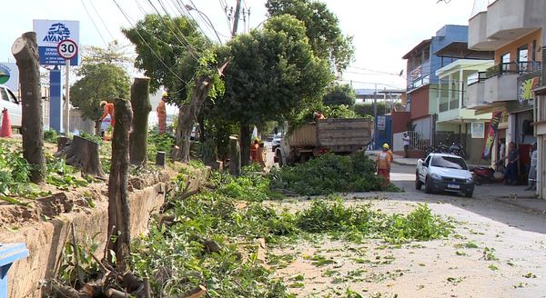 Obra retira árvores e revolta moradores em Cachoeiro