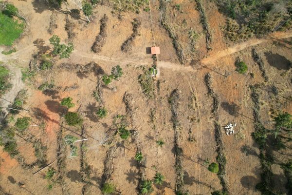 Idaf flagra desmatamento em Reserva de Mata Atlântica em Itaguaçu