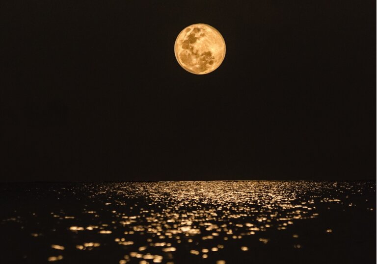 Descubra como a poderosa Lua Cheia pode agir na sua vida