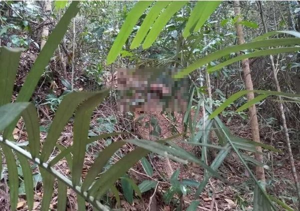 Corpo em estado de decomposição é encontrado em chácara de São Mateus