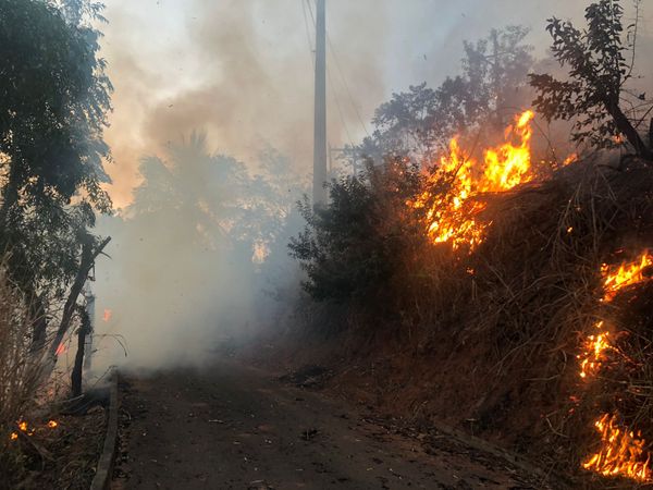 O incêndio começou em uma área de vegetação no bairro Nossa Senhora Aparecida, em Cachoeiro de Itapemirim por Carlos Barros