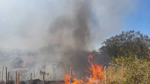 As chamas do incêndio em vegetação no bairro Nossa Senhora Aparecida, em Cachoeiro de Itapemirim, estavam altas  por Internauta | A Gazeta