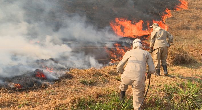 Segundo um produtor rural, fogo já queimou área de mais de 120 mil metros de área desde a noite desta quinta-feira (18). Bombeiros estão atuando no local nesta sexta-feira (19)