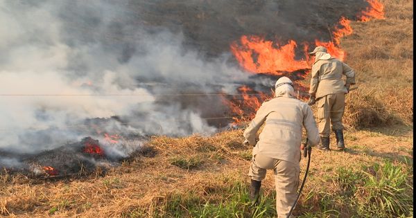 Fogo atinge pasto e preocupa produtores em Cachoeiro