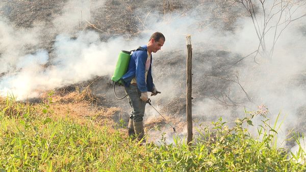 Fogo atinge pasto e preocupa produtores em Cachoeiro por Luiz Gonçalvez 